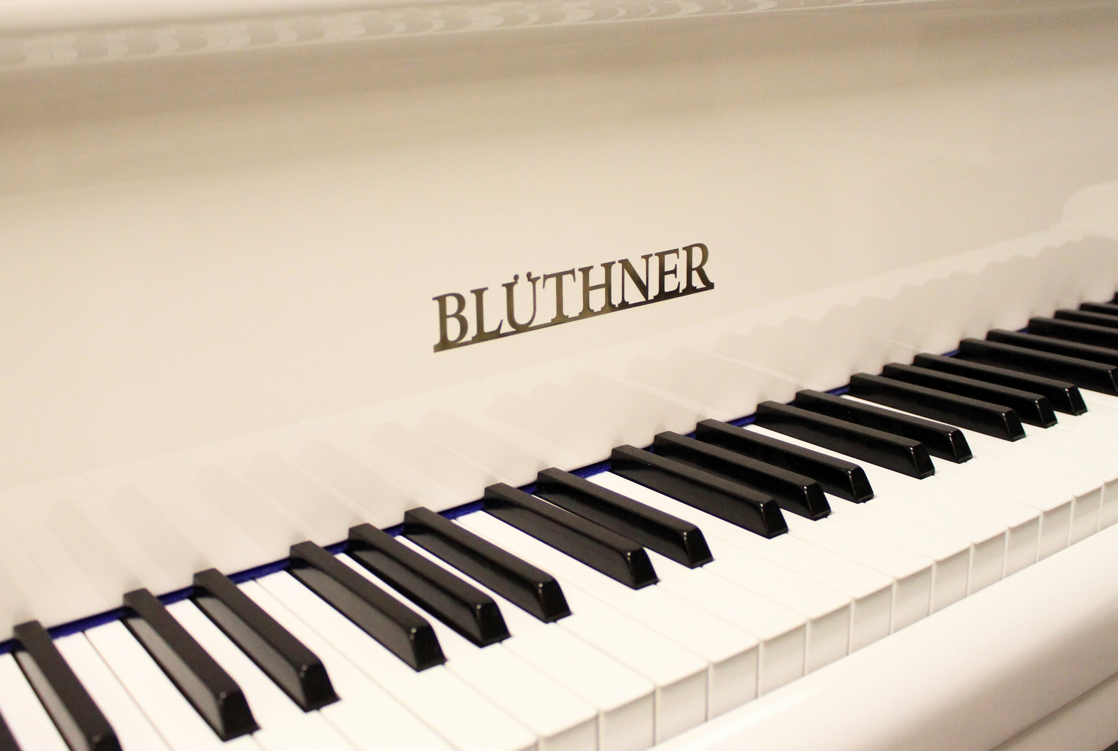 Клавиатура Blüthner
